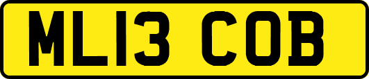 ML13COB