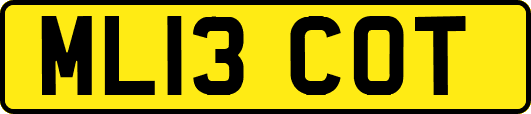 ML13COT