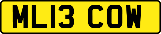 ML13COW