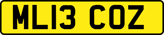 ML13COZ