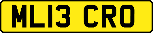 ML13CRO