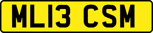 ML13CSM