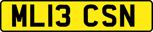 ML13CSN
