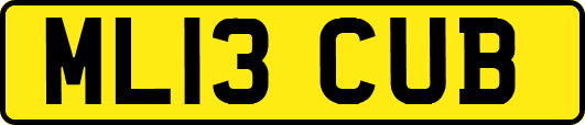 ML13CUB