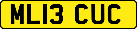 ML13CUC