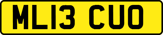 ML13CUO