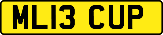 ML13CUP