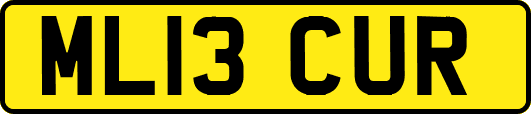 ML13CUR