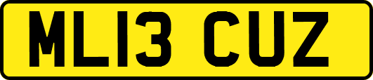 ML13CUZ