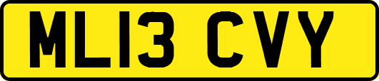 ML13CVY