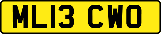 ML13CWO