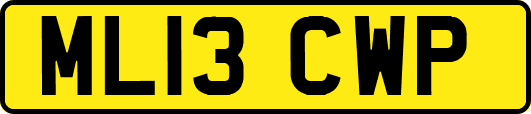 ML13CWP