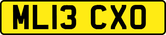 ML13CXO