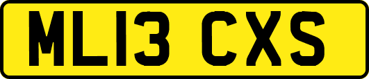 ML13CXS