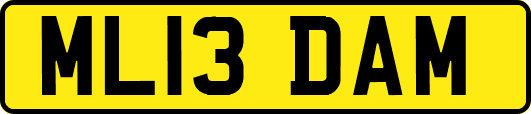 ML13DAM