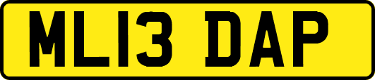 ML13DAP