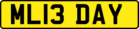 ML13DAY