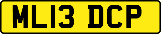 ML13DCP