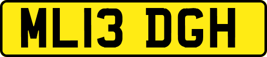 ML13DGH