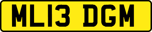 ML13DGM