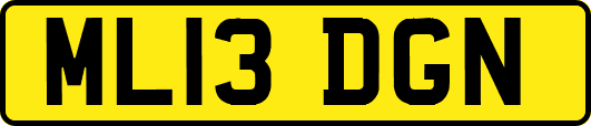 ML13DGN