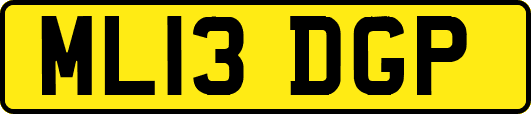 ML13DGP
