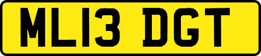 ML13DGT