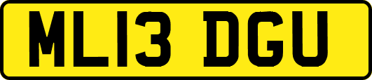 ML13DGU