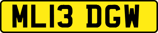 ML13DGW