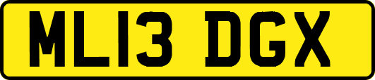 ML13DGX