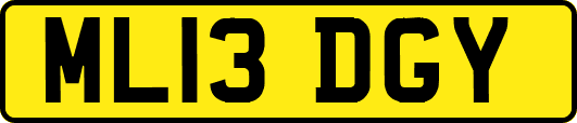 ML13DGY