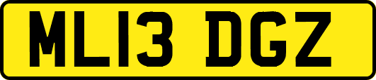 ML13DGZ