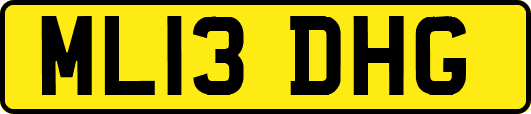 ML13DHG