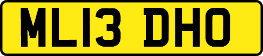 ML13DHO