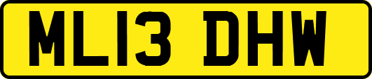 ML13DHW