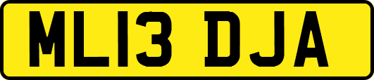 ML13DJA