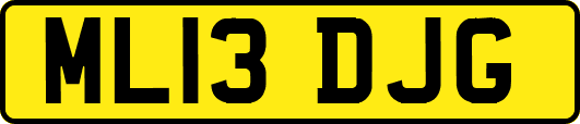ML13DJG