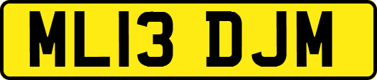 ML13DJM