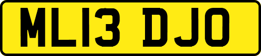 ML13DJO