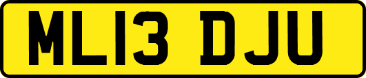ML13DJU