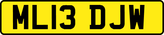 ML13DJW