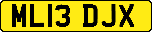 ML13DJX