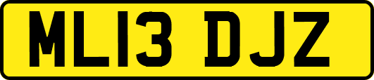 ML13DJZ