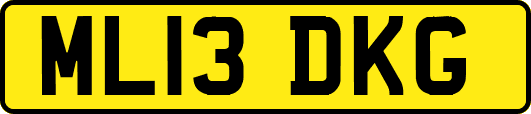 ML13DKG