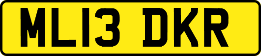 ML13DKR