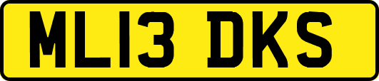 ML13DKS