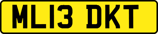 ML13DKT