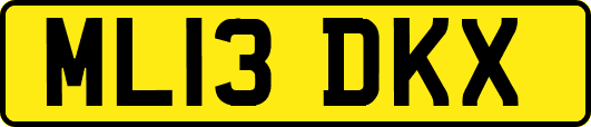 ML13DKX