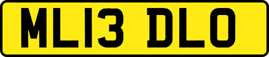 ML13DLO