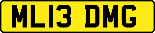 ML13DMG